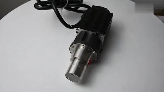 Magnetic Drive Gear Pump Magnetic Drive Gear Pump