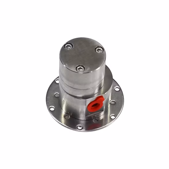 Magnetic Drive Gear Pump Magnetic Drive Gear Pump