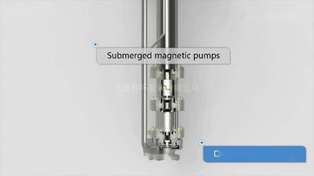 Untergetauchte magnetisch angetriebene Pumpe