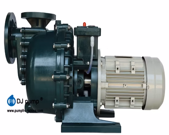 Flüssigchlor-Doppelgehäuse-Magnetpumpe