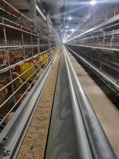 Automatisches, vollständiges Steuerungssystem für Geflügelschlachthof, Hühnerschlachtmaschine und Lungenreinigungssystem